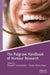 The Palgrave Handbook of Humour Research by Elisabeth Vanderheiden