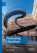 Theorizing Literature: Literary Theory in Contemporary Novels - And Their Analysis by Erik Schilling