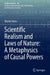 Scientific Realism and Laws of Nature: A Metaphysics of Causal Powers by Michel Ghins