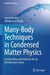 Many-Body Techniques in Condensed Matter Physics: Lecture Notes and Exercises for an Introductory Course by Jaime Merino