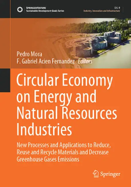 Circular Economy on Energy and Natural Resources Industries: New Processes and Applications to Reduce, Reuse and Recycle Materials and Decrease Greenh by Pedro Mora