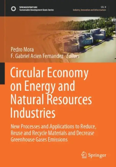 Circular Economy on Energy and Natural Resources Industries: New Processes and Applications to Reduce, Reuse and Recycle Materials and Decrease Greenh by Pedro Mora