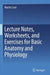 Lecture Notes, Worksheets, and Exercises for Basic Anatomy and Physiology by Martin Caon