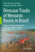 Dinosaur Tracks of Mesozoic Basins in Brazil: Impact of Paleoenvironmental and Paleoclimatic Changes by Ismar De Souza Carvalho