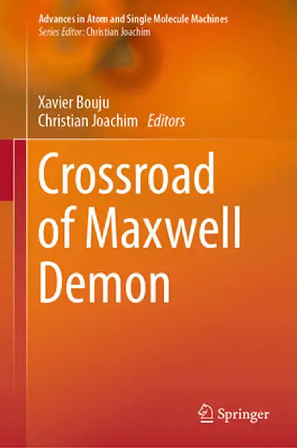 Crossroad of Maxwell Demon by Xavier Bouju