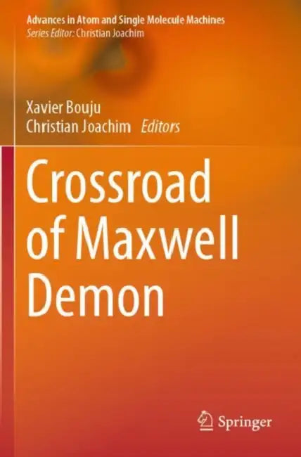 Crossroad of Maxwell Demon by Xavier Bouju