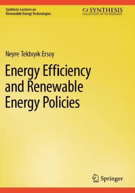 Energy Efficiency and Renewable Energy Policies by Neyre Tekbıyık Ersoy