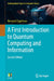 A First Introduction to Quantum Computing and Information by Bernard Zygelman