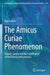 The Amicus Curiae Phenomenon: Theory, Causes and the Significance of Third Party Interventions by Shai Farber