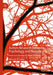Autism Research between Psychology and Neuroscience: From Leo Kanner to New Frontiers by Michele Di Salvo