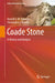 Coade Stone: A History and Analysis by Howell G. M. Edwards