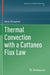 Thermal Convection with a Cattaneo Flux Law by Brian Straughan