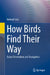 How Birds Find Their Way: Avian Orientation and Navigation by Satz, Helmut