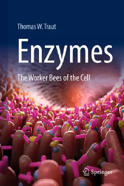 Enzymes: The Worker Bees of the Cell by Traut, Thomas W.