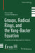 Groups, Radical Rings, and the Yang-Baxter Equation: A Combinatorial Approach to Solutions by Ferran Cedó, Leandro Vendramin
