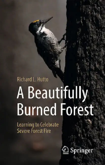 A Beautifully Burned Forest: Learning to Celebrate Severe Forest Fire by Hutto, Richard L.