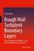 Rough Wall Turbulent Boundary Layers: Direct Numerical Simulation, Large Eddy Simulation and Experiment by Doyle Knight