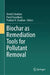 Biochar as Remediation Tools for Pollutant Removal by Avnish Chauhan
