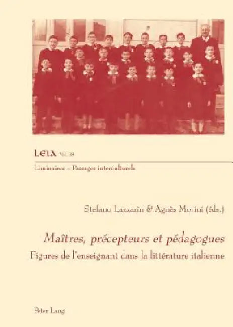 Maîtres, précepteurs et pédagogues: Figures de l'enseignant dans la littérature italienne by Stefano Lazzarin