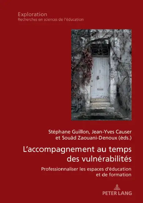 L'accompagnement au temps des vulnérabilités: Professionnaliser les espaces d'éducation et de formation by Stéphane Guillon, Jean-Yves Causer, Souâd Zaouani-Denoux