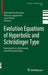 Evolution Equations of Hyperbolic and Schrödinger Type: Asymptotics, Estimates and Nonlinearities by Michael Ruzhansky