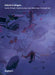Hybrid Ecologies by Susanne Witzgall, Marietta Kesting, Maria Muhle