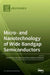 Micro- and Nanotechnology of Wide Bandgap Semiconductors by Anna B. Piotrowska