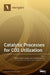Catalytic Processes for CO2 Utilization by Markus Lehner