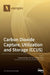 Carbon Dioxide Capture, Utilization and Storage (CCUS) by Dongdong Feng