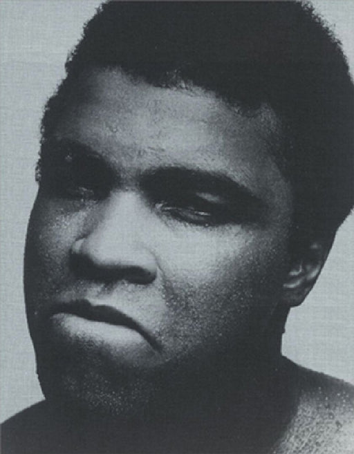 Collection agn?s b. by Jay Rubin