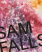 Sam Falls by Sam Falls