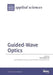 Guided-Wave Optics by Boris Malomed