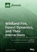Wildland Fire, Forest Dynamics, and Their Interactions by Marc-André Parisien
