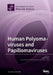 Human Polyomaviruses and Papillomaviruses by Ugo Moens
