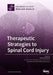 Therapeutic Strategies to Spinal Cord Injury by Pavla Jendelova