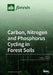 Carbon, Nitrogen and Phosphorus Cycling in Forest Soils by Robert G. Qualls