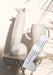 In the Summer of 2009: Photographs by Walter Pfeiffer, Design by Matteo Thun by Walter Pfeiffer, Matteo Thun