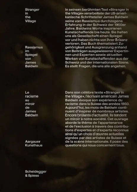 Stranger in the Village: Le Racisme Au Miroir de James Baldwin by Céline Eidenbenz, Sarah Mühlebach
