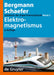 Electromagnetism by Wilhelm Raith