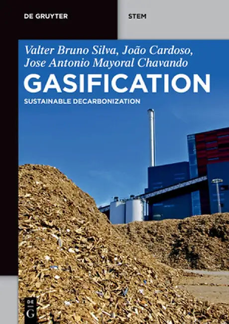 Gasification: Sustainable Decarbonization by Valter Bruno Silva