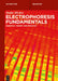 Electrophoresis Fundamentals: Essential Theory and Practice by Budin Michov