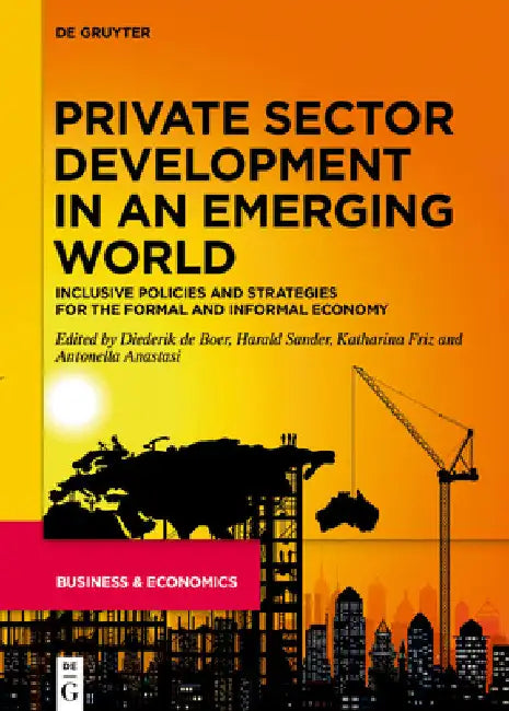 Private Sector Development in an Emerging World: Inclusive Policies and Strategies for the Formal and Informal Economy by Diederik Boer