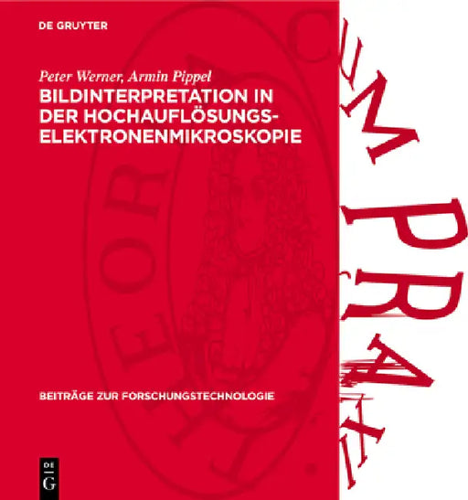 Bildinterpretation in Der Hochauflösungs-Elektronenmikroskopie: Numerische Und Optische Verfahren Zur Interpretation Elektronenmikroskopischer Hochauf by Reinald Hillebrand, Kurt Scheerschmidt, Wolfgang Neumann