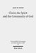 Christ, the Spirit and the Community of God: Essays on the Acts of the Apostles by Arie W. Zwiep