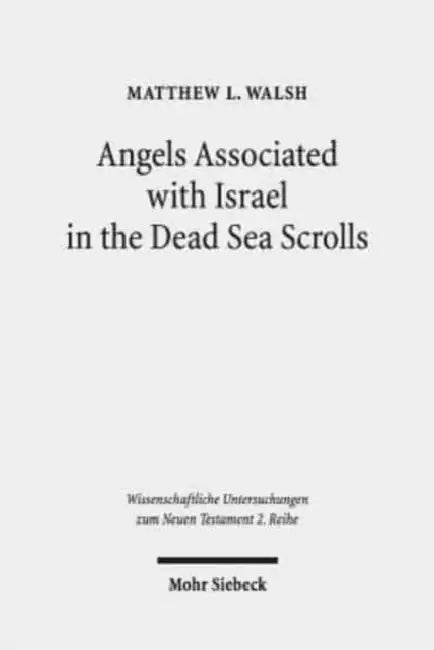 Angels Associated with Israel in the Dead Sea Scrolls: Angelology and Sectarian Identity at Qumran by Matthew L. Walsh