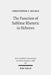The Function of Sublime Rhetoric in Hebrews: A Study in Hebrews 12:18-29 by Christopher T. Holmes
