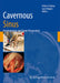 Cavernous Sinus: Developments and Future Perspectives by Vinko V. Dolenc