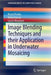 Image Blending Techniques and Their Application in Underwater Mosaicing by Ricard Prados