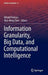 Information Granularity, Big Data, and Computational Intelligence by Witold Pedrycz
