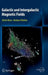 Galactic and Intergalactic Magnetic Fields by Ulrich Klein